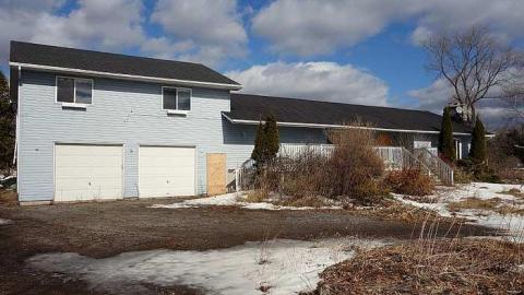 Monkeying Around '18 - Moldy-407-Takeover17.jpg