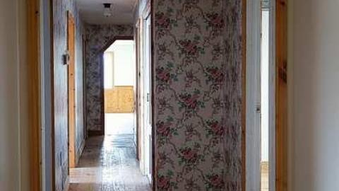 Photo from Monkeying Around '18