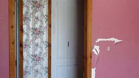 Monkeying Around '18 - Moldy-407-Takeover30.jpg