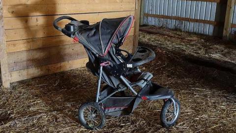 Monkeying Around '18 - Moldy-407-Takeover87.jpg