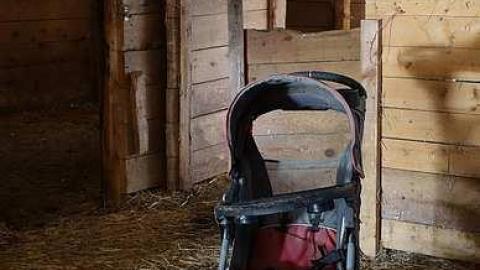 Monkeying Around '18 - Moldy-407-Takeover40.jpg