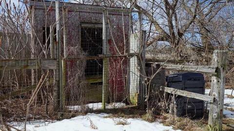 Monkeying Around '18 - Moldy-407-Takeover42.jpg