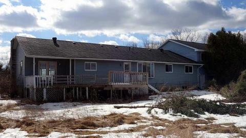 Monkeying Around '18 - Moldy-407-Takeover43.jpg