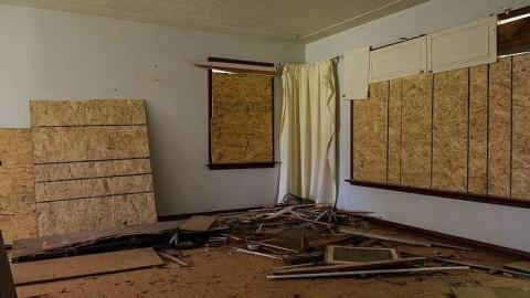 Purple in the Wind '18 - Purple-in-the-Wind1.jpg