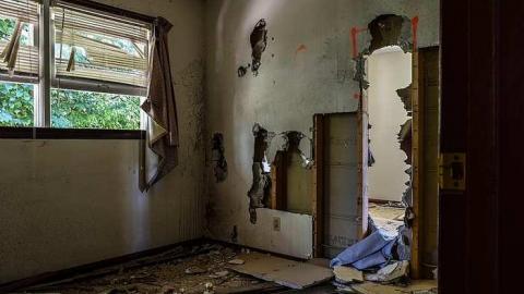 Photo from Purple in the Wind '18