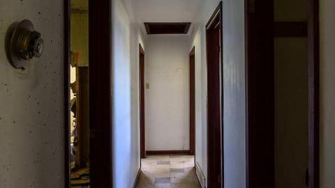 Purple in the Wind '18 - Purple-in-the-Wind2.jpg