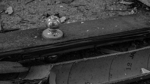 Photo from Purple in the Wind '18