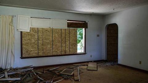 Photo from Purple in the Wind '18