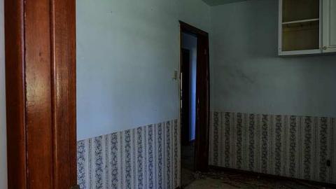 Purple in the Wind '18 - Purple-in-the-Wind12.jpg