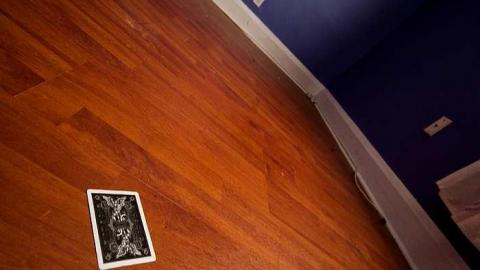 Franklin Mint - IMG_0676s.jpg