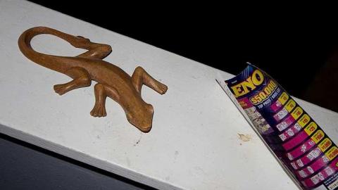 Franklin Mint - IMG_0684s.jpg