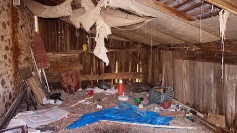 Rusty Trickle  - Oap add and loc Guelph 030.jpg