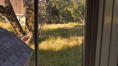 Rusty Trickle  - Oap add and loc Guelph 042.jpg