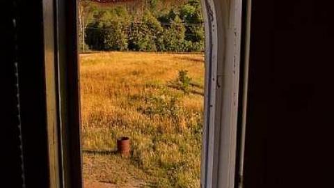 Rusty Trickle  - Oap add and loc Guelph 070.jpg