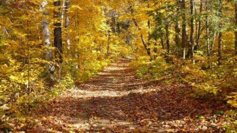 Timo explorer's Gallery - Rock-Hill-(ghost-town)2.jpg