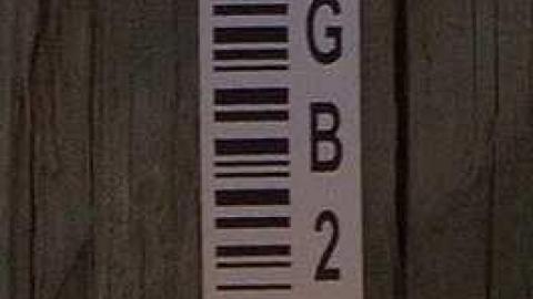 Rusty Trickle  - Oap add and loc Guelph 080_2.jpg