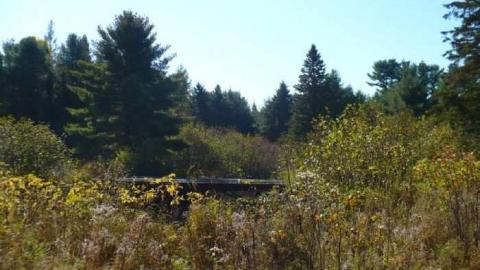 Rock Hill (ghost town) photo 2