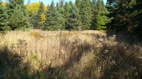 Rock Hill (ghost town) photo 4