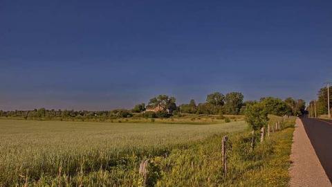 Rusty Trickle  - h-Oap add and loc Guelph 082.jpg