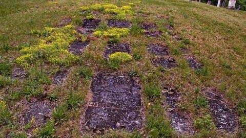 Generous Friend - Old-Eden-pioneer-Cemetery4.jpg