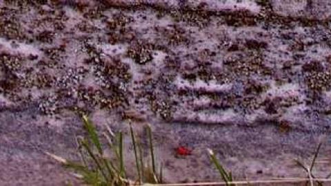 Generous Friend - Old-Eden-pioneer-Cemetery24.jpg