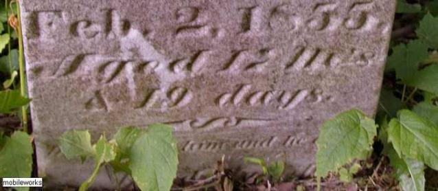 Old Eden pioneer Cemetery photo 5