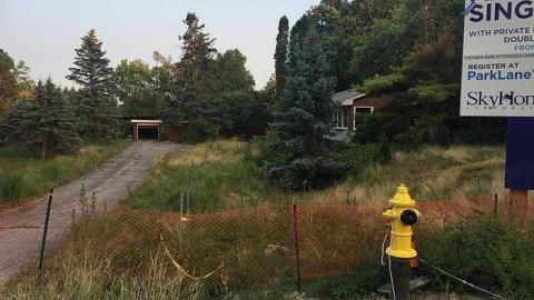 Seared Serenity photo 4