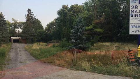 Seared Serenity photo 5