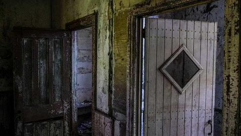 Shine Bright - DSC_0529.jpg