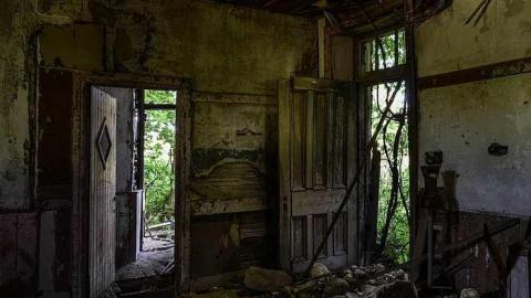 Shine Bright - DSC_0531.jpg