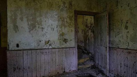 Shine Bright - DSC_0532.jpg