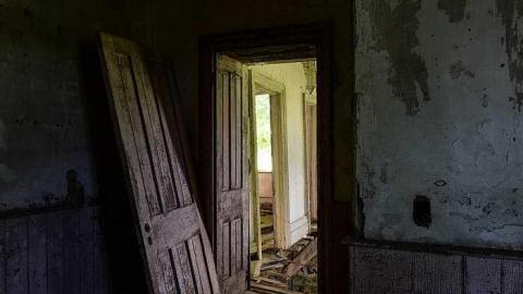 Shine Bright - DSC_0533.jpg