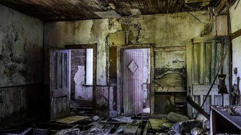 Shine Bright - DSC_0542.jpg