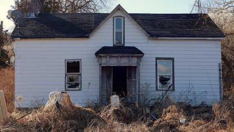 Wet Pets '18 - DSC02779.jpg