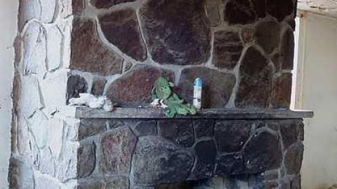 Wet Pets '18 - DSC02786.jpg