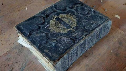 Wet Pets '18 - DSC02792.jpg