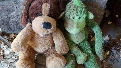 Wet Pets '18 - DSC02797.jpg