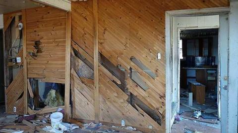 Photo from Wet Pets '18