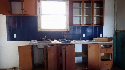 Wet Pets '18 - DSC02804.jpg