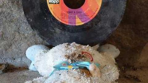 Wet Pets '18 - DSC02806.jpg