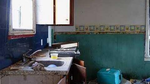 Wet Pets '18 - DSC02807.jpg