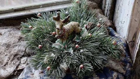 Wet Pets '18 - DSC02810.jpg