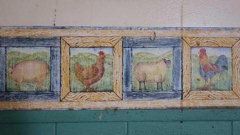 Wet Pets '18 - DSC02814.jpg