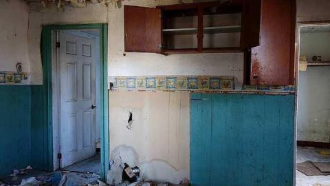 Wet Pets '18 - DSC02816.jpg