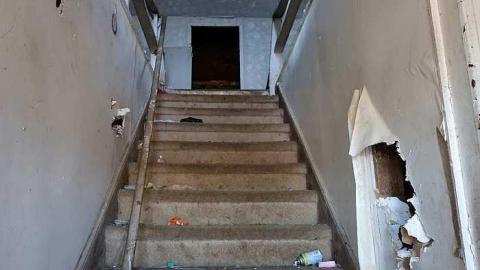 Wet Pets '18 - DSC02822.jpg