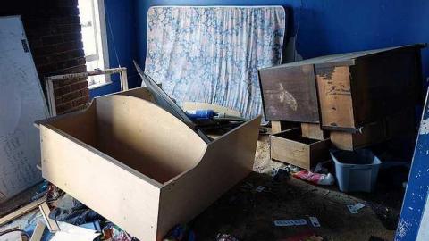 Wet Pets '18 - DSC02838.jpg