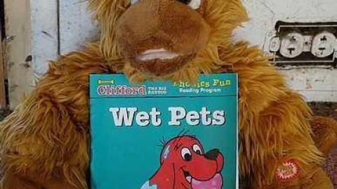 Wet Pets '18 - DSC02841.jpg