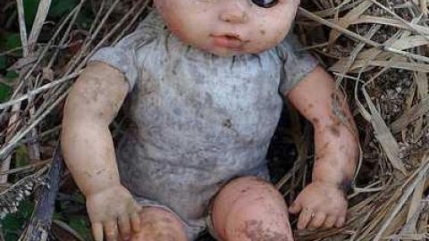 Wet Pets '18 - DSC02843.jpg