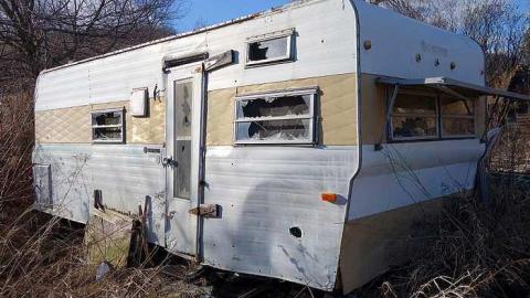 Wet Pets '18 - DSC02865.jpg