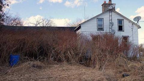 Wet Pets '18 - DSC02869.jpg